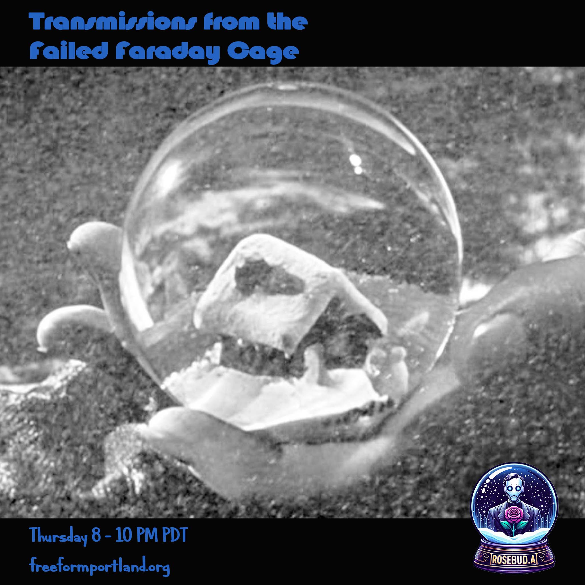 Transmissions from the Failed Faraday Cage #008